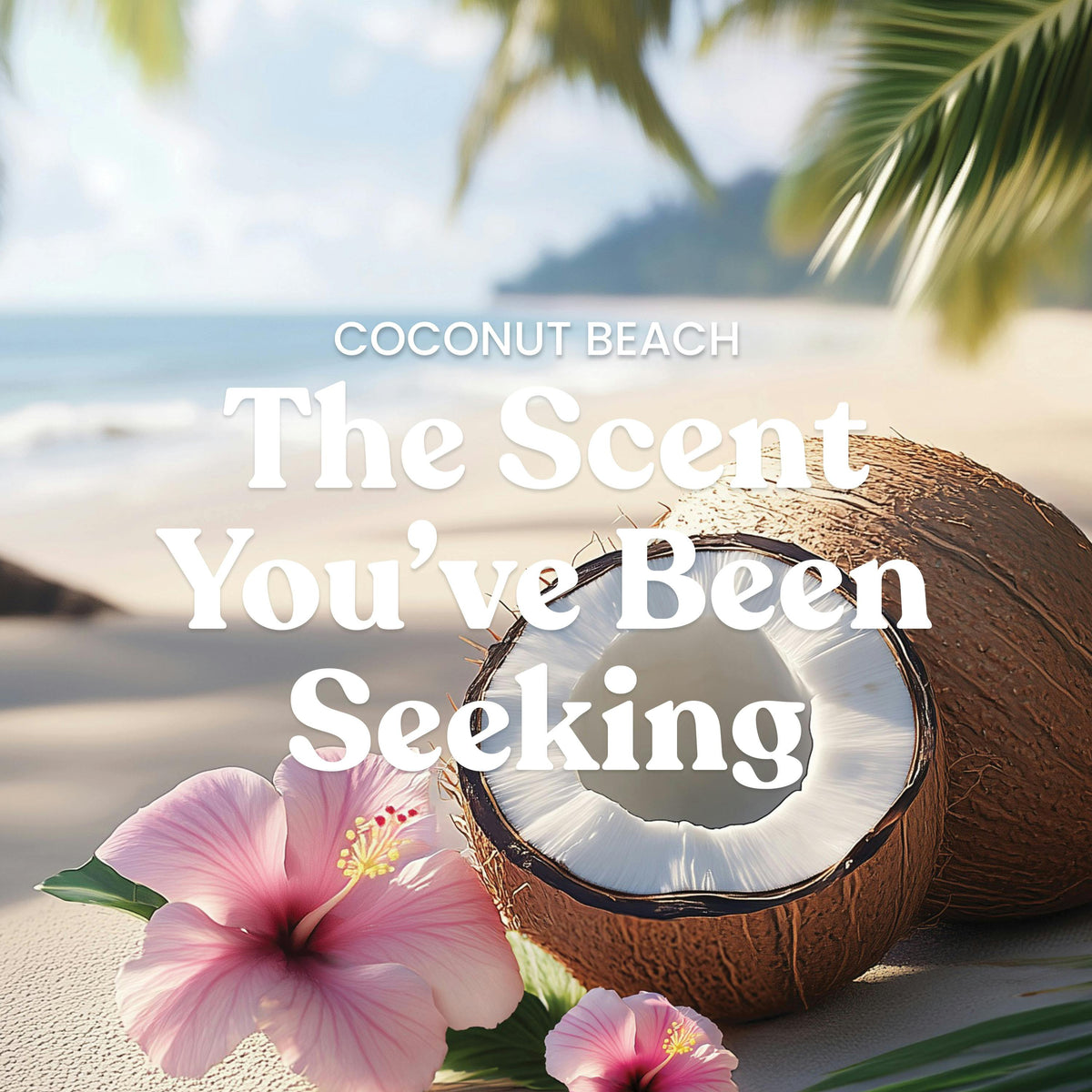 Coconut Beach